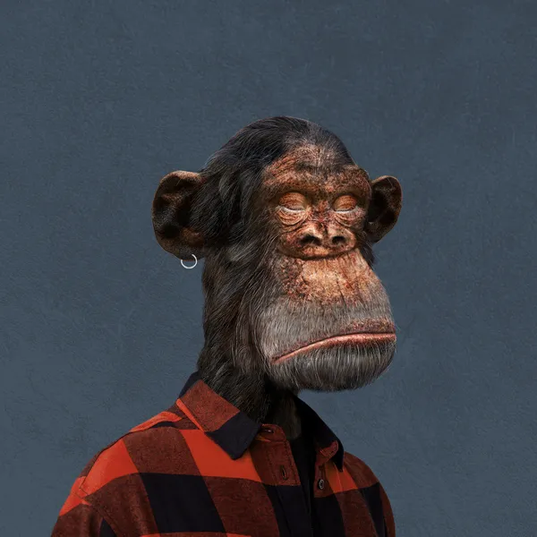 Bored Ape #520