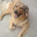 Людмила 