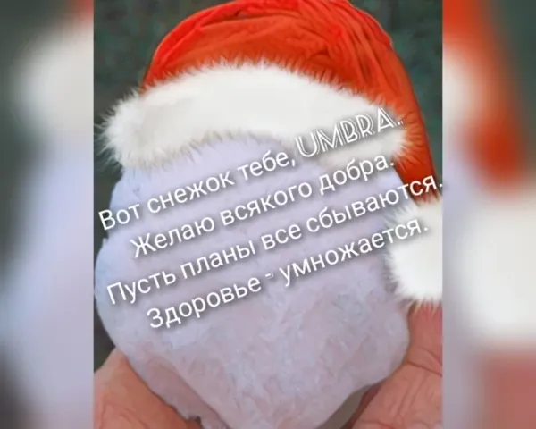 2 Umbra