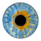 TON EYES