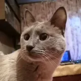 Мария Митина