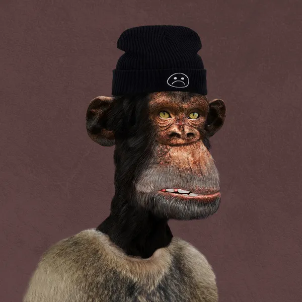 Bored Ape #13