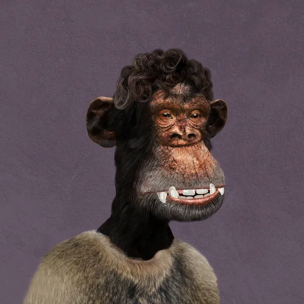 Bored Ape #533