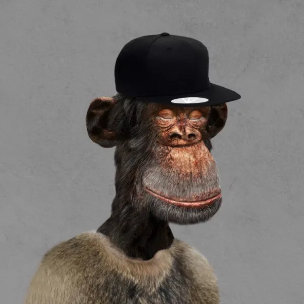 Bored Ape #737