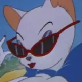 aesthetic