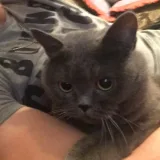 Марина Полянцева