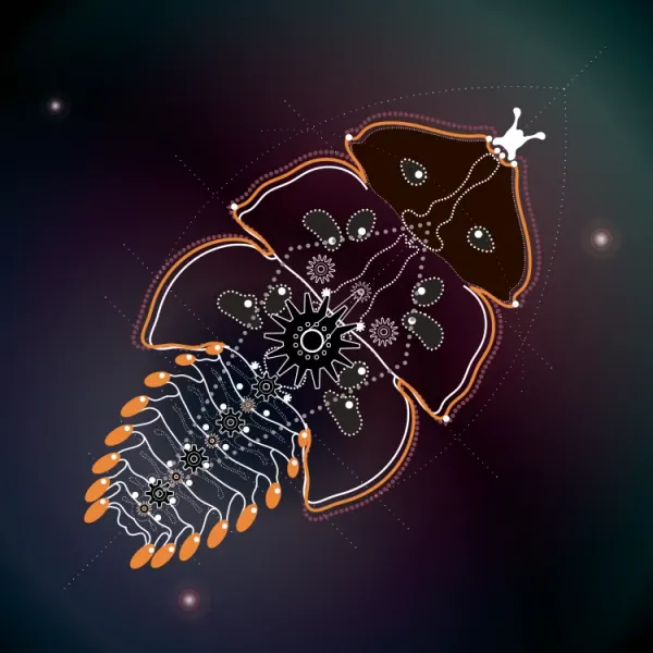 #25 CRYPTOINSECT_PLATERODRILUS