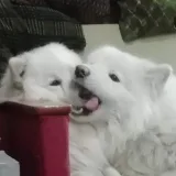 Наталья П