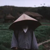 Black Elephant