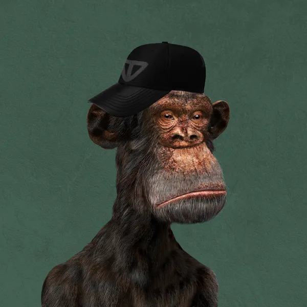 Bored Ape #23