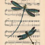 BlueStrekoza