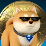 TON DOGE COIN & NFT