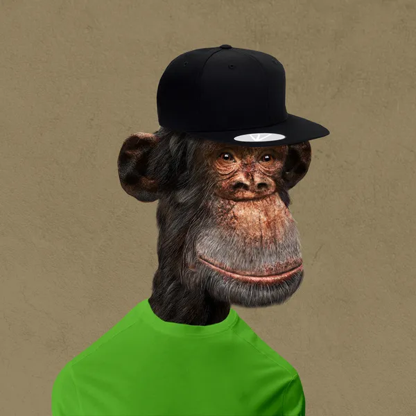 Bored Ape #10