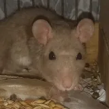 Марина