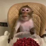 Владосик 🧨 