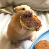 mersyxxl