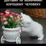 Мария Пе'трович