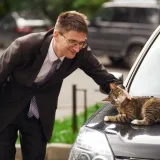 Catlover
