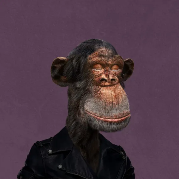 Bored Ape #29