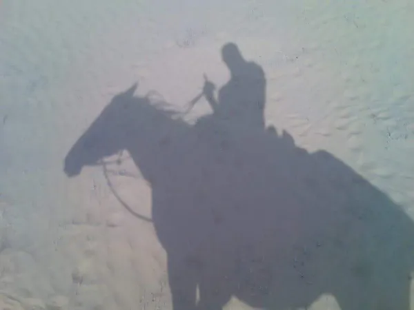 Shadow on the dunes