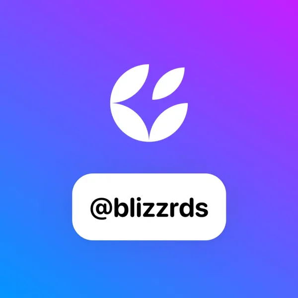 @blizzrds