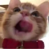 lilittoria