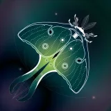 CRYPT°INSECT