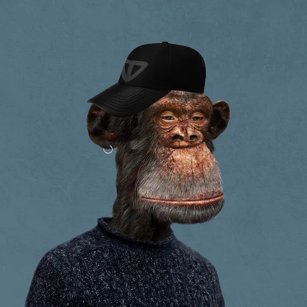 Bored Ape #28