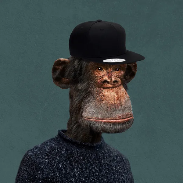 Bored Ape #14