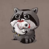 RaccooN