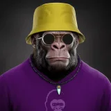 Alpha Kong