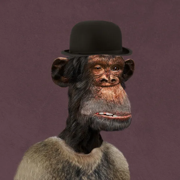 Bored Ape #376