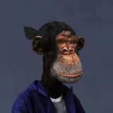 Gipokrat