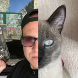ALEXmol/AREScat