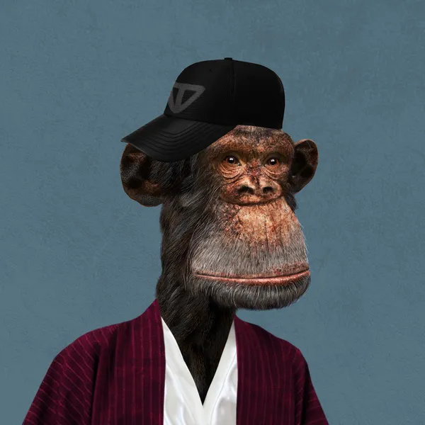 Bored Ape #5