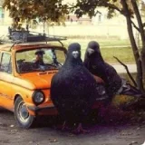 Шлягер