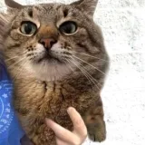 Kiska