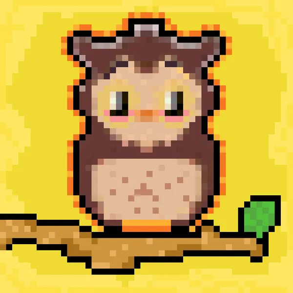 Confused owl