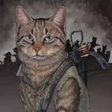 MrKote