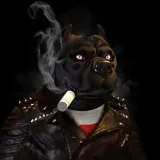 Dog Crypto