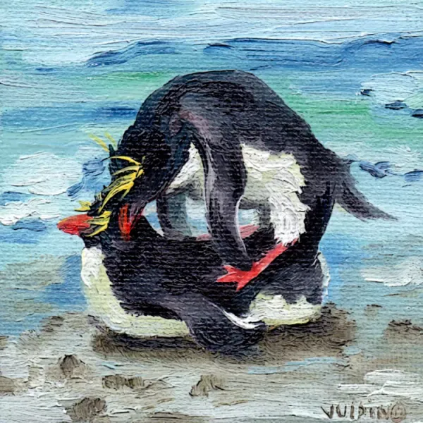 Macaroni penguins