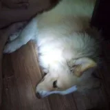 Ольга 