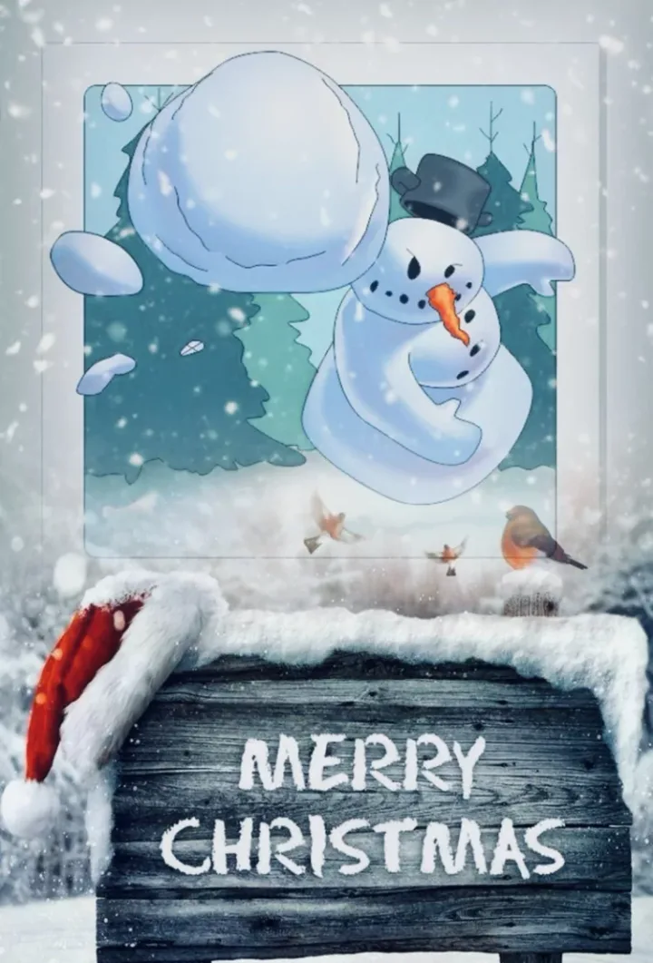 Merry Christmas