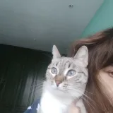 Tatiana🌹🌺🥀