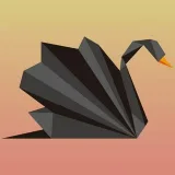 blvck swan