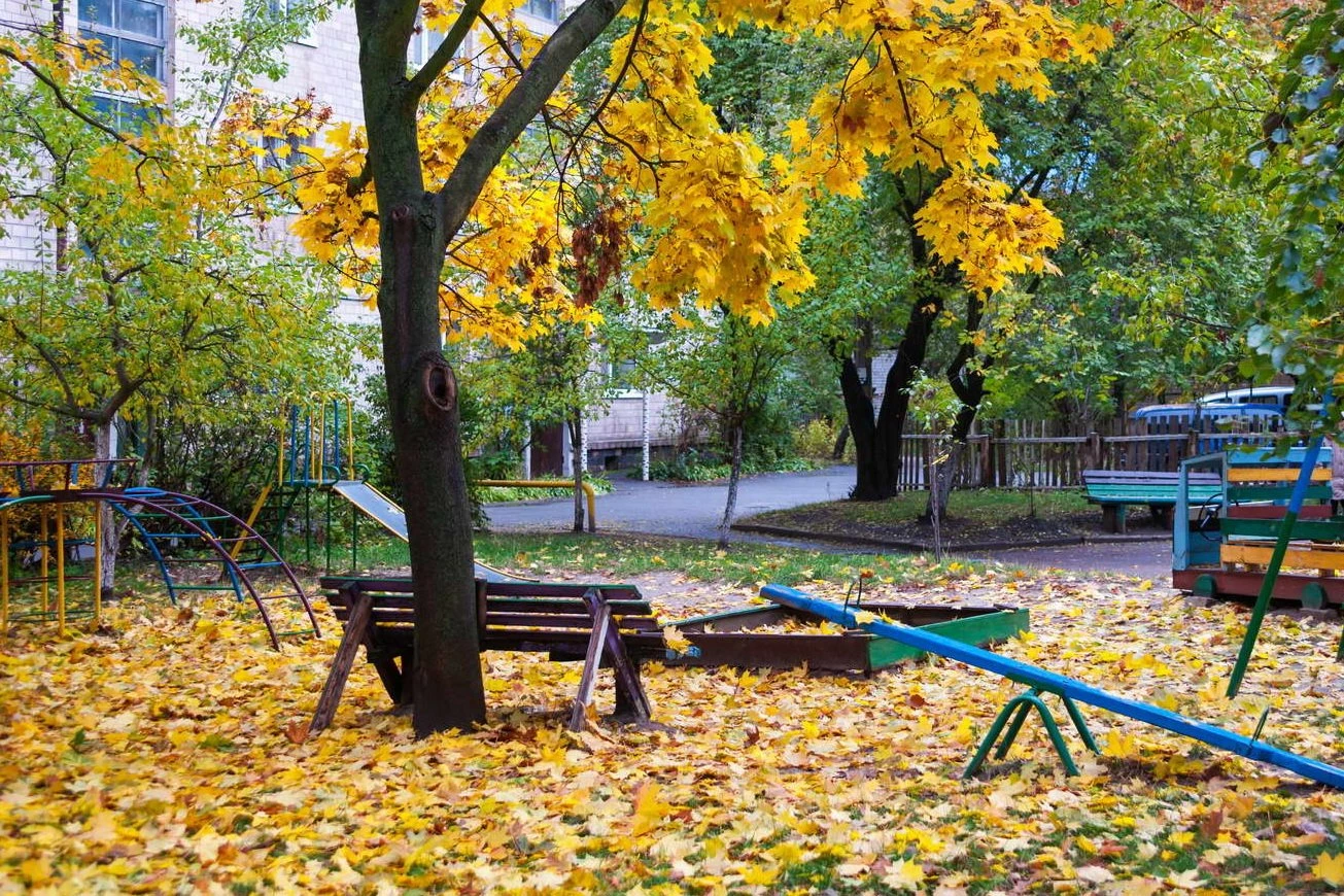 Фото Осени Во Дворе